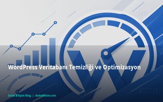 WordPress Veritabanı Temizliği ve Optimizasyon