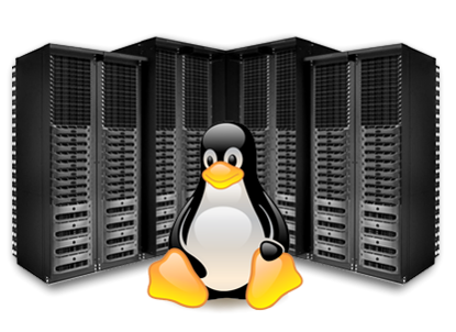 Linux Hosting Nedir?